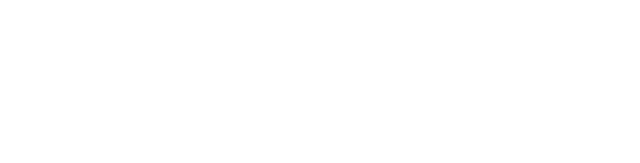 Sinetcom Logo